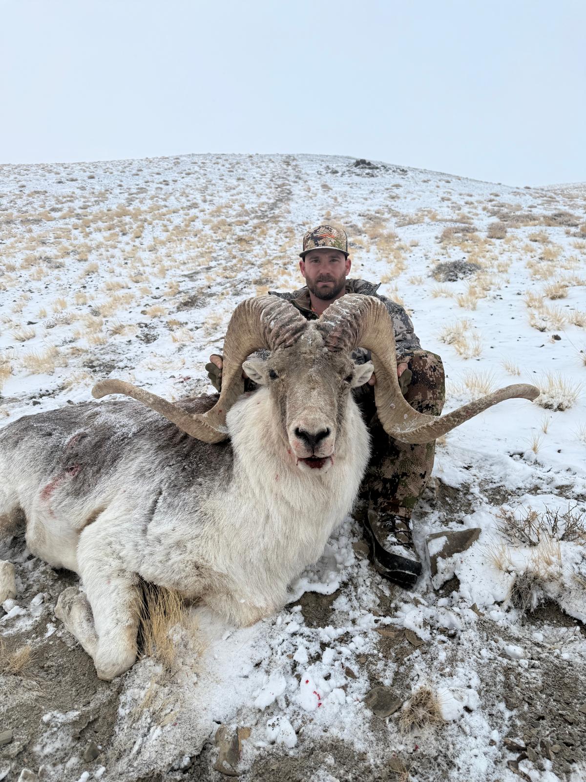 Alt Text is good for SEO